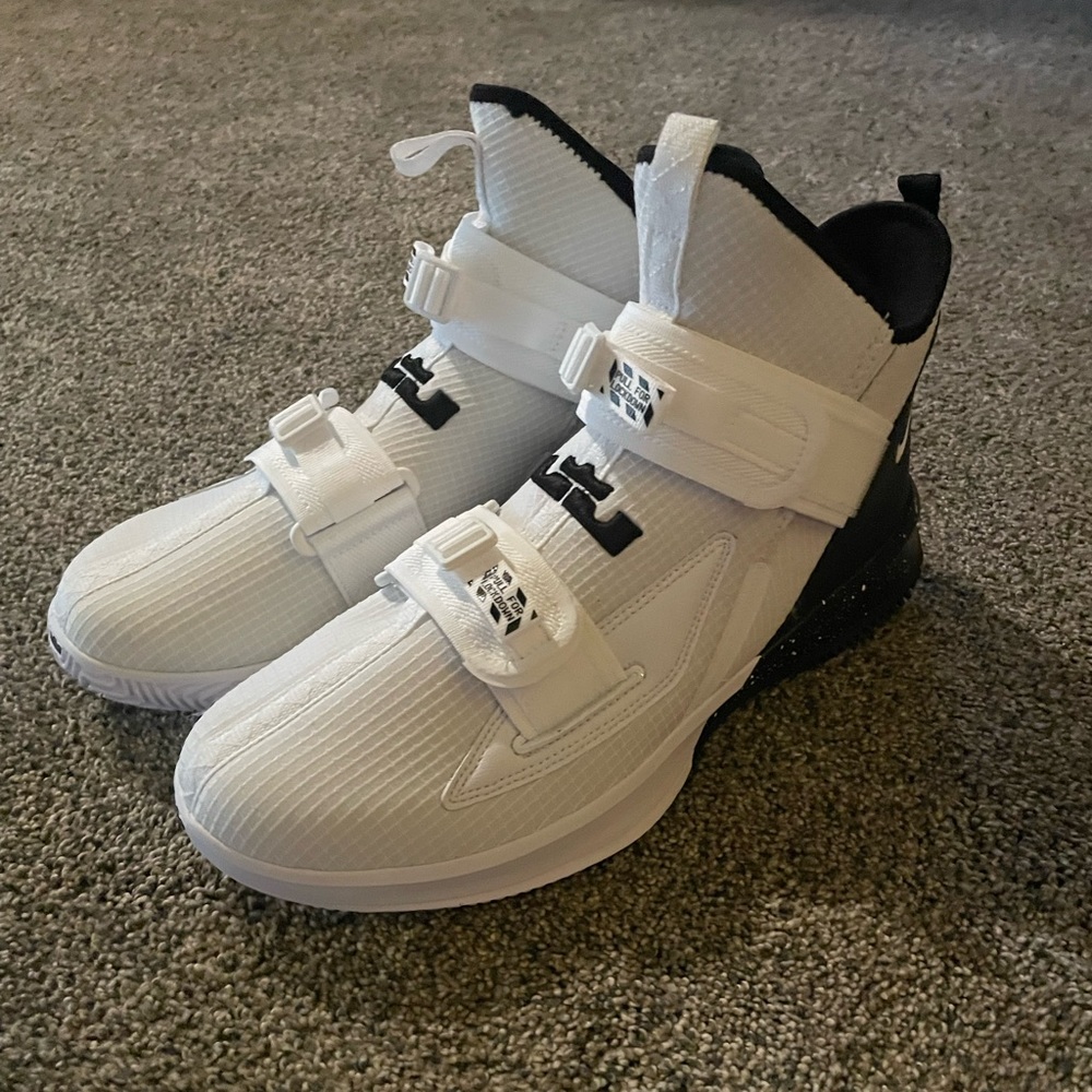Lebron 13s